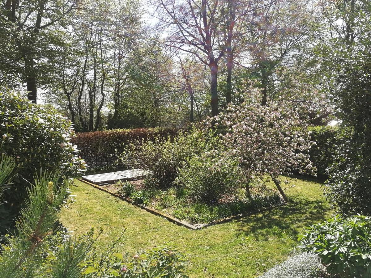 몬샤우 Roder Am Eifelsteig 빌라 외부 사진